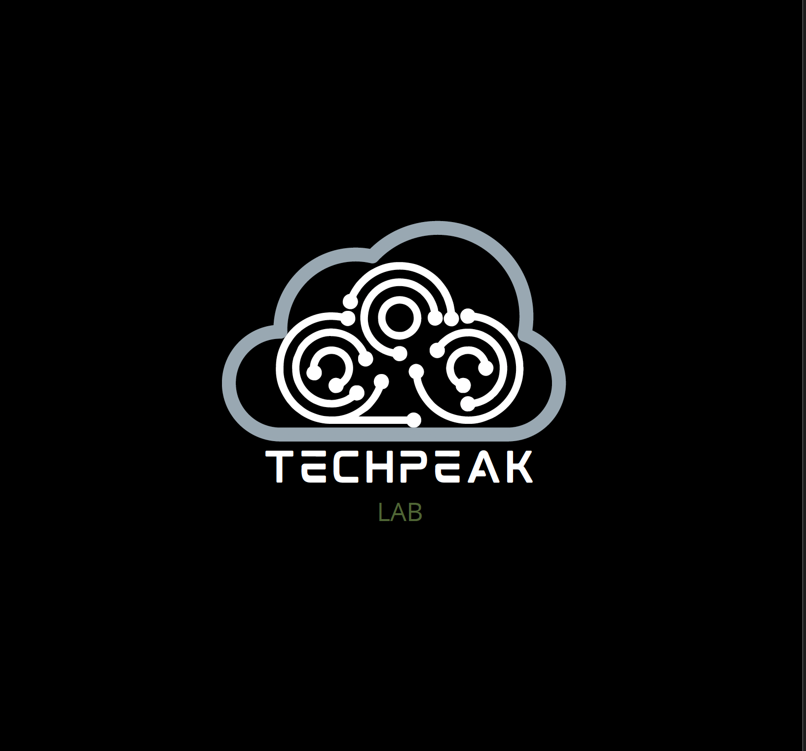 TechPeak Lab